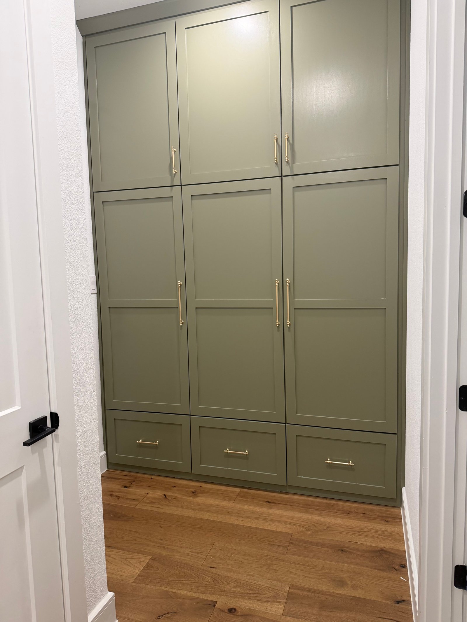 Sage green full-height pantry with brass hardware